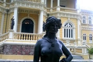 A Manaus Overview and Meeting of the Waters - Half Day Tour