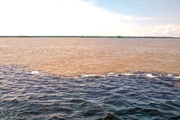 Meeting of the Waters and Janauari Lake Tour