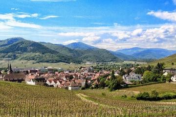 Alsace Villages and Wine Private Day Trip from Strasbourg