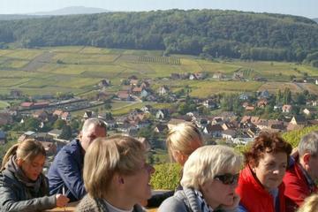 Private Tour: Alsace Villages and Wine Day Trip from Colmar