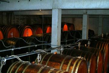 Private Tour: Discover the Wines of Alsace in One Day from Strasbourg