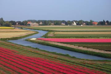 Tulip Bike Tour Zuid-Kennemerland