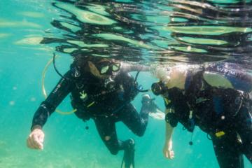 Pula Discover Scuba Diving Package