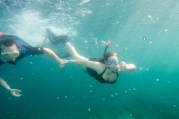 Pula Snorkeling and Kayak Tour