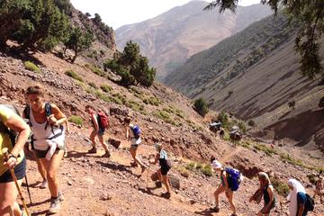 High Atlas Mountains Full Day Trek