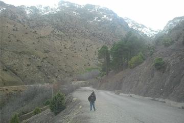 Ourika Valley Day-Trip from Marrakech