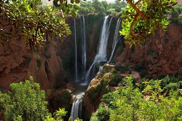 Ouzoud Waterfalls Full-Day Tour from Marrakech