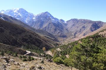 Three Valleys Day Trip from Marrakech with Lunch