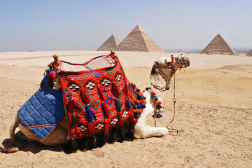 Full-day Amazing Tour of the Pyramids in Egypt