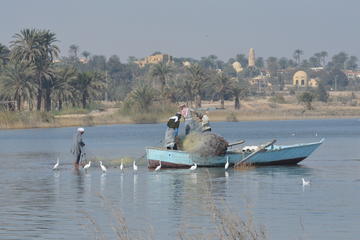 Private Day Tour to Fayoum and Wadi El Rayan from Cairo