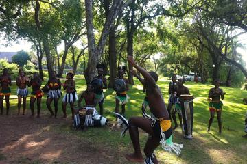 12-Day Motherland Tour Including South Africa, Zimbabwe and Botswana from Johannesburg