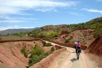 2-Day Horseback Riding in Morocco's Atlas Mountains from Marrakech