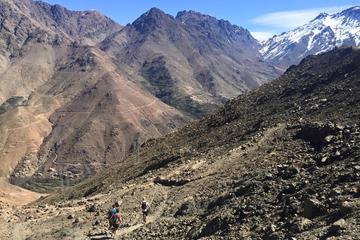 Full-Day Guided Running Tour in the Atlas Mountains from Marrakech