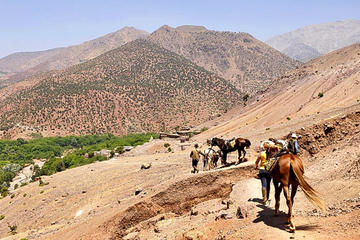 Half-Day Horse Riding Tour in Atlas Mountains from Marrakech