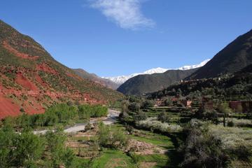 ourika valley day trip including camel ride
