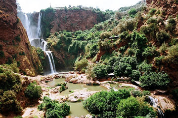 Private Guided Day Trip to Ouzoud Waterfalls from Marrakech