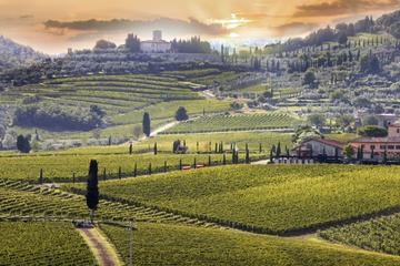 Tuscan Experience - Private Shore Excursion to Chianti and Siena from Livorno