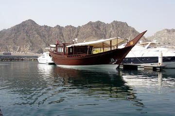 Dolphin Watching Cruise from Muscat