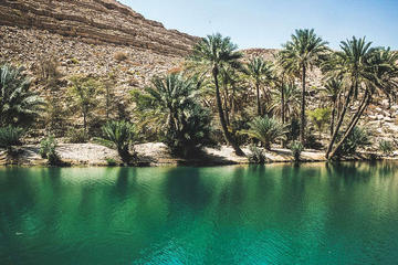 Private Full Day North and Nakhl tour with Lunch