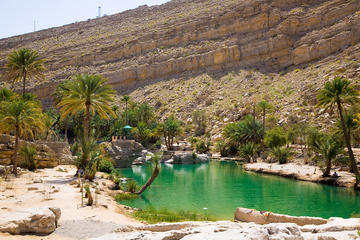 Private Full Day Wahiba Sands and Sur by 4x4 with Lunch