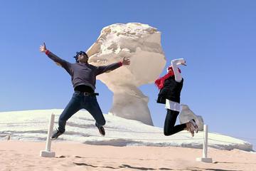 3 Days - 2 Nights Private Desert Safari tour in Baharya oasis from Cairo
