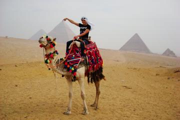 Private Guided Tour to Giza, Sphinx, Saqqara, Memphis and Dahshour with Qualified Egyptologist Guide from Cairo