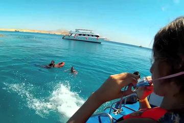Snorkeling Trip In Tiran Island By Boat