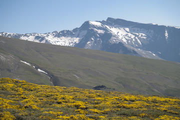 4WD Sierra Nevada Safari Tour in Granada