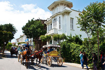 Princes' Islands Tour from Istanbul with Lunch