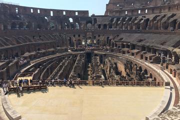 Colosseum Underground Private Tour with Palatine Hill and Roman Forum