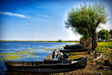 2-Day Private Tour of Danube Delta from Bucharest