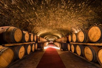 Chianti VINARIUM Tour from Rome