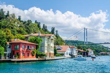 BOSPHORUS CRUISE TOUR (Small Group)