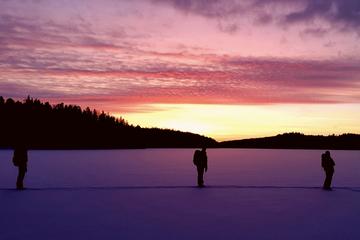 Snowshoe Winter Hike from Stockholm