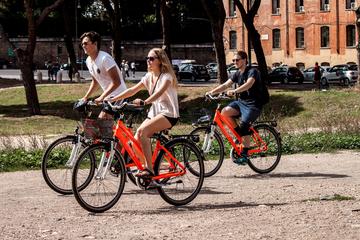 Rome One Day Private Bike Tour: City Center and Panoramic Views