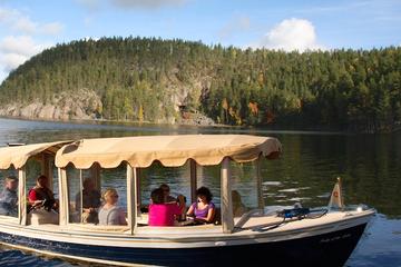 Small-group Sightseeing Cruise of Kolovesi National Park in Southern Savonia