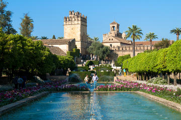 Guided Tour to the Alcazar without ticket