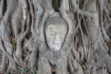 Bang Pa and Ayutthaya Historical Park Tour from Bangkok - Coach and Cruise with Italian Speaking Guide