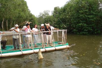 Mangrove Forest and Monkey Island Full day trip