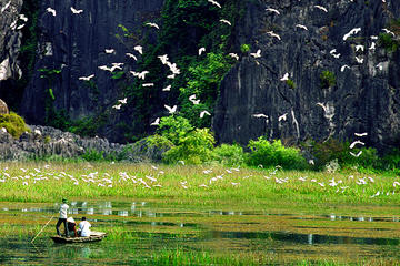 Ninh Binh 2 days 1 Night