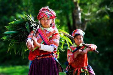 Overnight Sapa Trekking Tour from Hanoi with Homestay