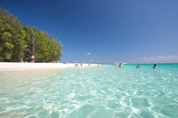 Day Trip to Phi Phi and Bamboo Island from Phuket Including Lunch