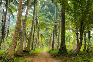 Khao Lak Full Day tour