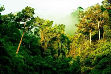 Khao Sok Deluxe 1 Day Trip