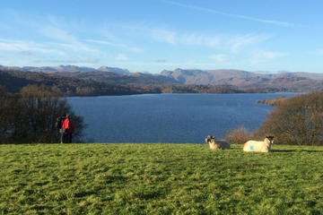 Private Tour: Lake District of Beatrix Potter