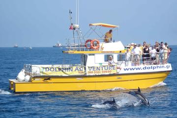 Dolphin Watching Excursion in Gibraltar