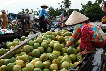 Mekong Delta 3-Day And Speed Boat To Cambodia