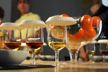Half-Day or Full-Day Wine Tour in Western Sicily