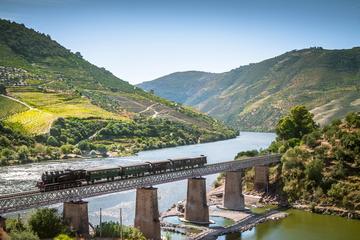 Douro Historical Private Tour with Wine Tasting