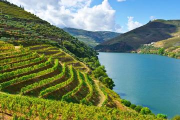 Douro Valley Wine Private Tour with Wine Tasting